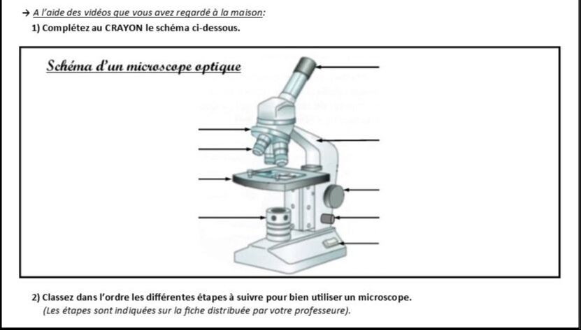 science > physique : optique > loupe et microscopes > composantes